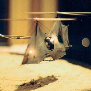 Flugmaschine